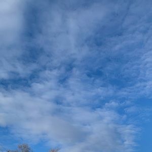 Meet your Posher, India